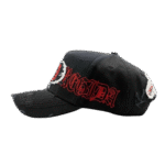Dandy X Fuerza Regida “Distressed” Hats