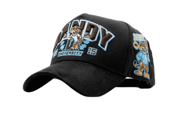 Dandy University Snapback Hat