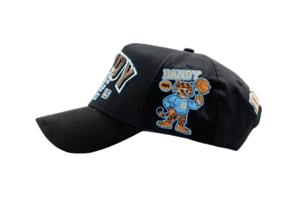 Dandy University Snapback Hat