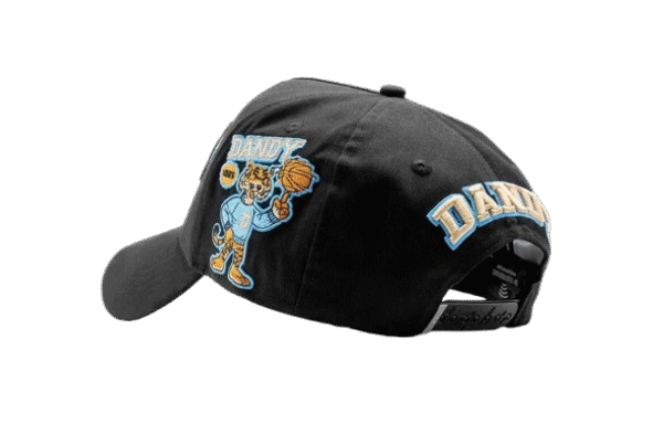 Dandy University Snapback Hat
