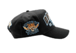 Dandy University Snapback Hat